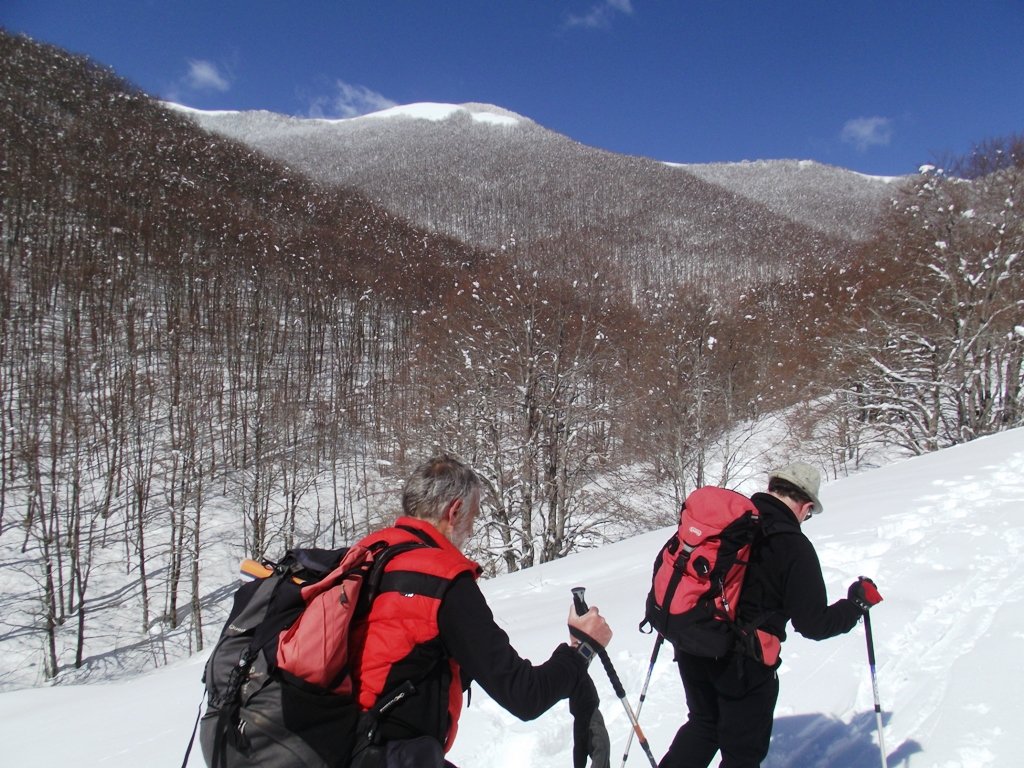 dscf6063.jpg