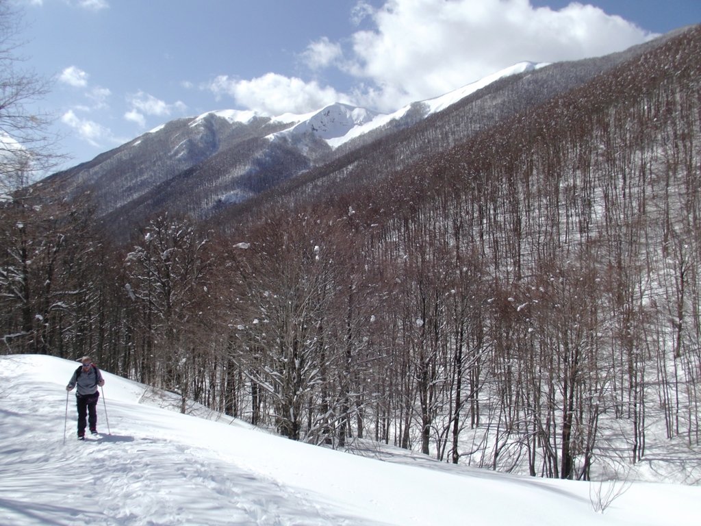 dscf6066.jpg