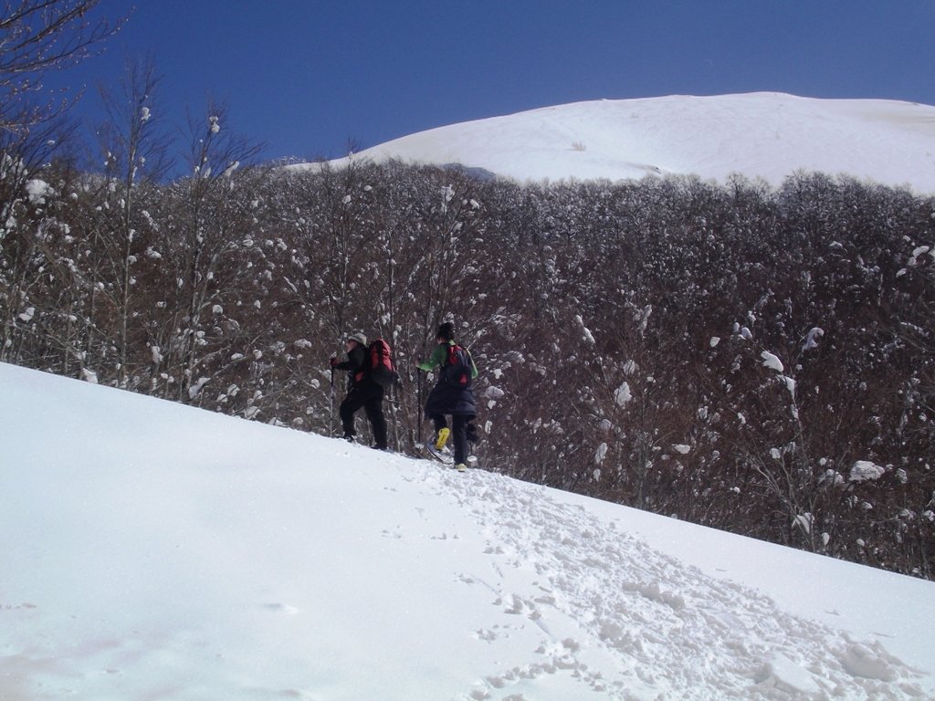 dscf6081.jpg