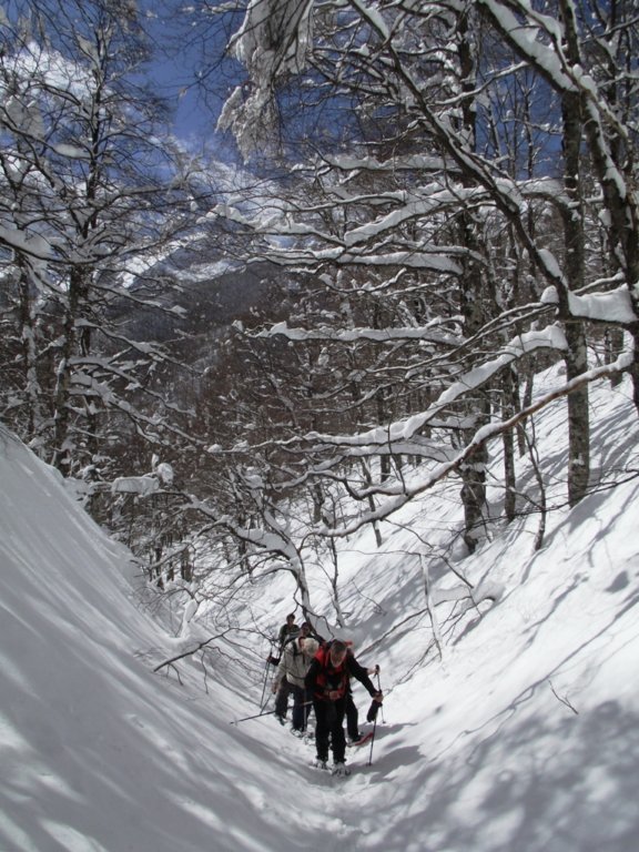dscf6101.jpg