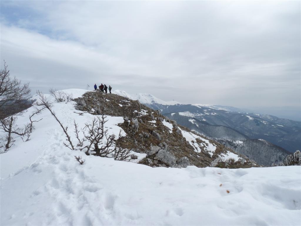cima_darme_51.jpg
