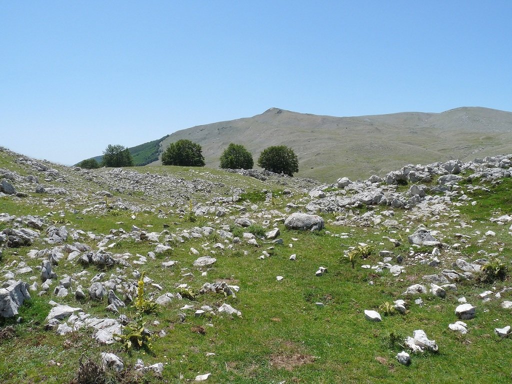 p1100059resizedjpg.jpg