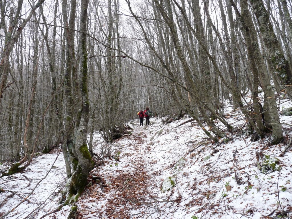 p1090110r.jpg
