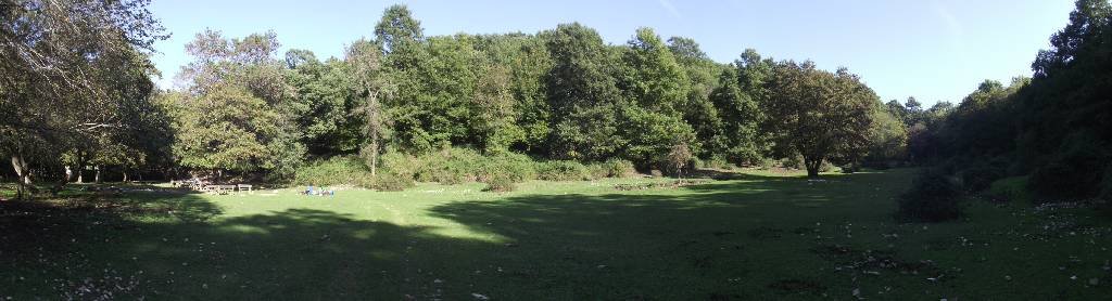 dscf5390.jpg