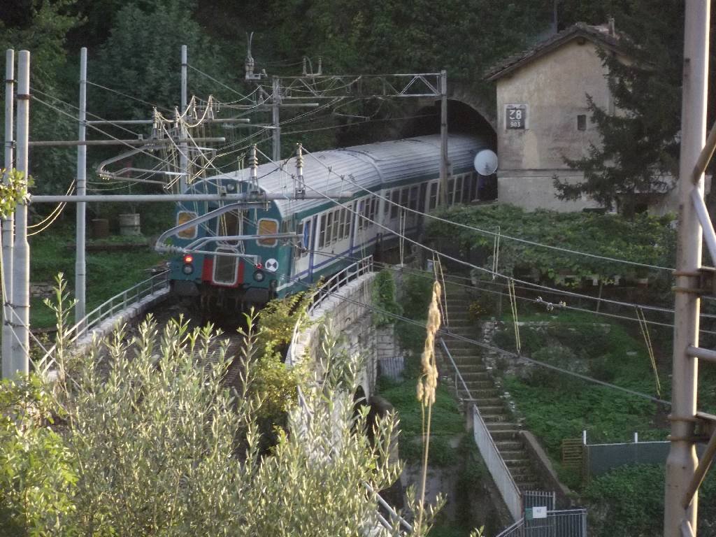 dscf5406.jpg