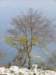 monte_cosce_05_small.jpg