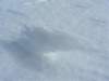 monte_elefante_17_small.jpg