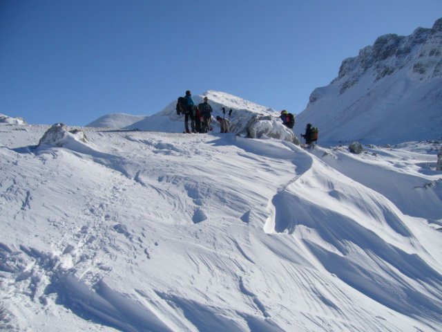monte_forcellone_85.jpg