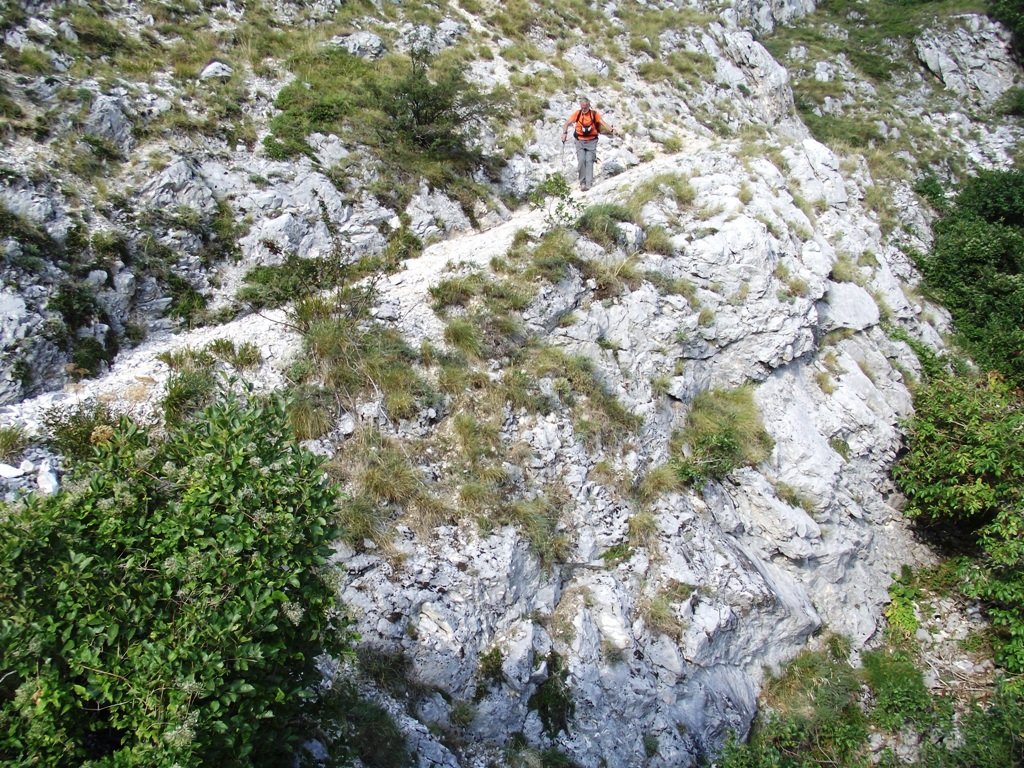 dscf5257.jpg