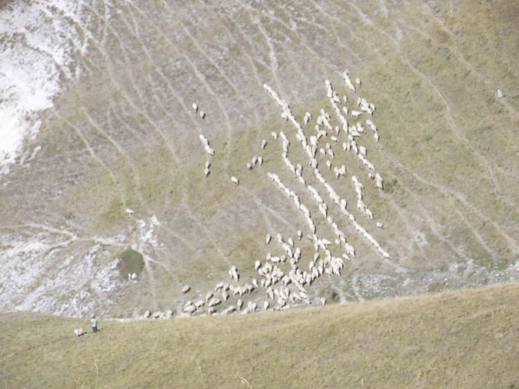 dscf2120.jpg