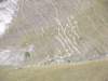 dscf2120_small.jpg
