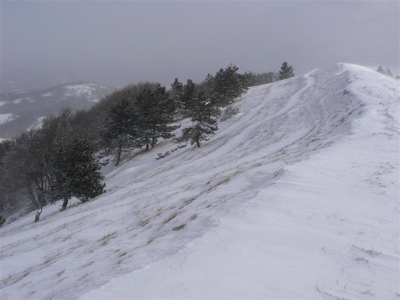 monte_la_serra_27.jpg