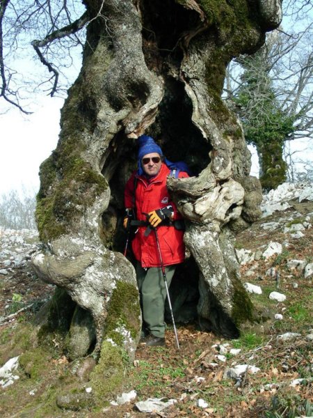 monte_lupone_01.jpg