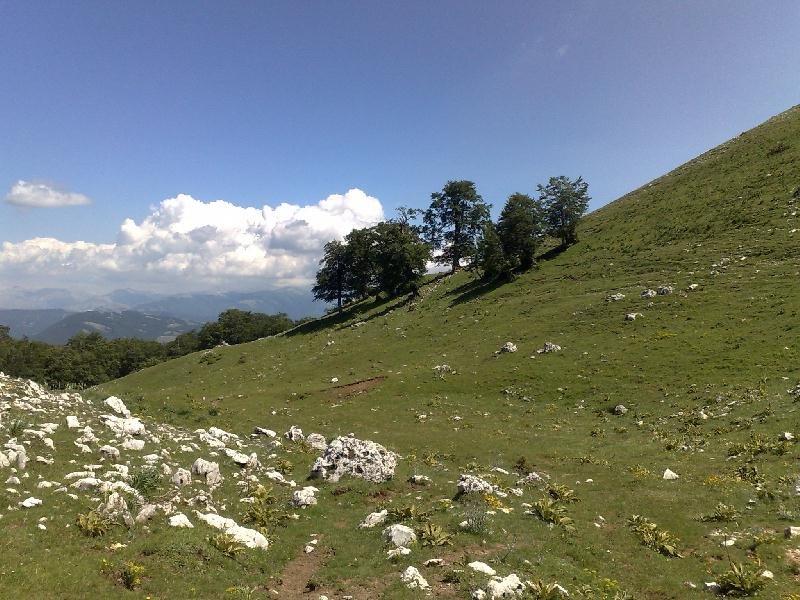 monte_nuria_11.jpg