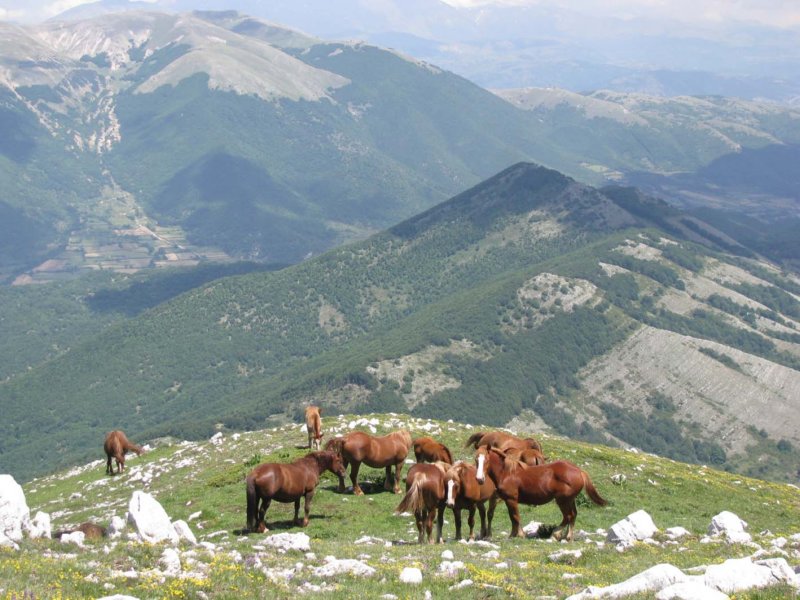 monte_nuria_16.jpg
