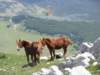 monte_nuria_24_small.jpg