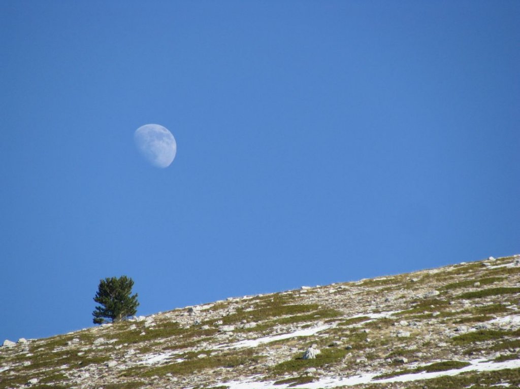 monteocre106.jpg