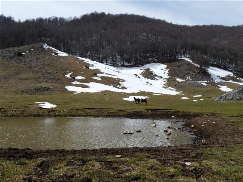 monte_padiglione_07.jpg