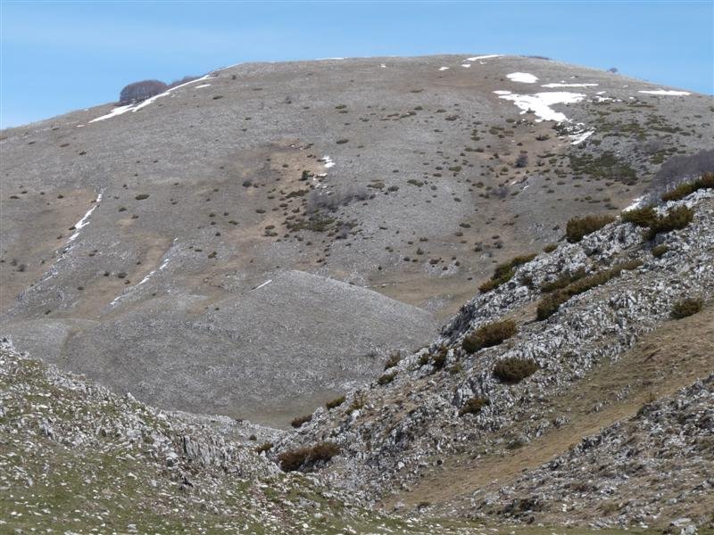monte_padiglione_08.jpg