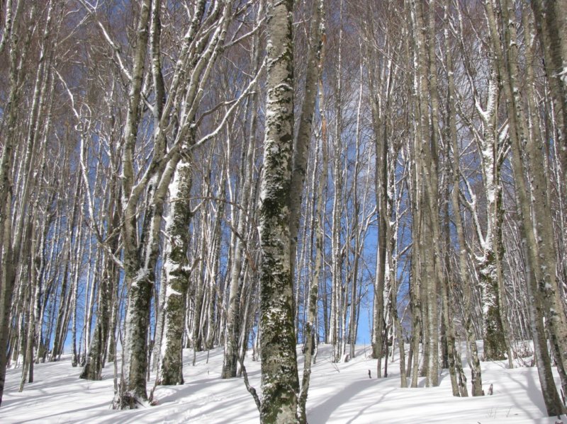 monte_san_rocco_63.jpg