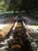 dscf2193_small.jpg