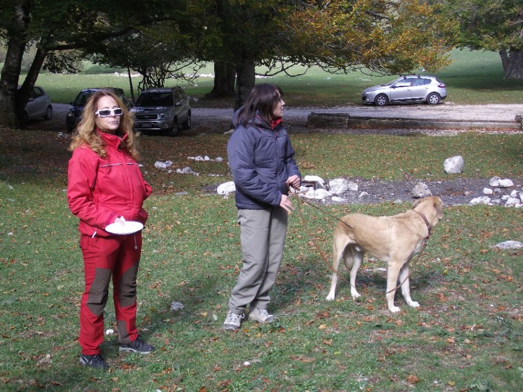 dscf2224.jpg
