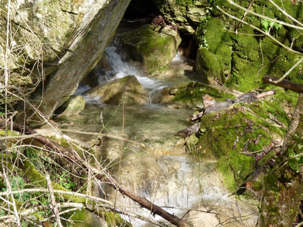 p1080750r.jpg